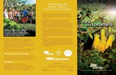 CONAF Rapa Nui Vivero Mataveri Otai Oficina Provincial CONAF … · y la vital labor de propagación de las plantas. Visítanos... Los colegios, instituciones, empresas, organizaciones
