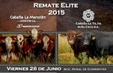 Remate Elite 2015 · La hemovacuna utilizada es la producida por INTA (Rafaela). Solo para los animales de Cabaña "La Mansión" - Carbunclo - Campylobacter. 20 aniversario 6 Remate