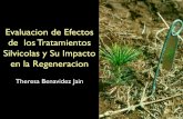 Evaluacion de Efectos de los Tratamientos Silvicolas y Su Impacto en la Regeneracionbiblioteca.semarnat.gob.mx/janium/Documentos/Ciga/Libros... · 2014-10-15 · Tasa de crecimiento