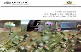 Indicadores de Cultivos Ilícitos en el Ecuador 2014...Indicadores de Cultivos Ilícitos en el Ecuador 2014 6 Se evaluaron más de treinta puntos distribuidos en-tre, Cotopaxi (once),