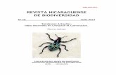 REVISTA NICARAGUENSE DE BIODIVERSIDAD · REVISTA NICARAGUENSE DE BIODIVERSIDAD. No.16. 2017. 2 La Revista Nicaragüense de Biodiversidad (ISSN 2413-337X) es una publicación que pretende