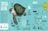 La tortuga golfina encuentra en la categoría de vulnerable ...lanaturalezanosllama.com/descargas/golfina_folleto.pdfEl mapa señala las zonas de anidación de la tortuga golfina del