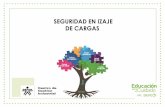 SEGURIDAD EN IZAJE DE CARGAS - Bienvenido a RIDSSO · 2019-06-27 · identificar como una labor tan técnica como el izaje de cargas impacta al medio ambiente donde se realiza la