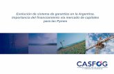 Evolución de sistema de garantías en la Argentina ...forochile.redegarantias.com/documentos/presentaciones/PANEL6B_… · Mercado de Capitales y financiamiento Pyme Evolución la