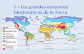 5 – Los grandes conjuntos bioclimáticos de la Tierraies-fernando-de-mena.centros.castillalamancha.es/sites/... · 2020-01-13 · 2 – Los grandes conjuntos bioclimáticos. Zona