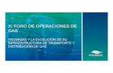 XI FORO DE OPERACIONES DE GAS y la...1982: Ampliación Barranquilla – Cartagena de 12” a 20” – 100 km Longitud actual del sistema: 674 km Diámetro: Tramos de 20”, 24”,