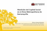 Medición del Capital Social en el Área Metropolitana de Barranquilla · 2016-03-03 · Efectos del Capital Social sobre el ingreso de los hogares del Área Metropolitana de Barranquilla.