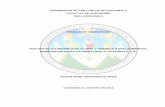 UNIVERSIDAD DE SAN CARLOS DE GUATEMALA · 1.5.3 Funciones y atribuciones de la Dirección Municipal de Planificación ... 10 1.5.4 Manual de procedimientos de la Dirección Municipal