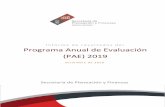 Informe de resultados del Programa Anual de Evaluación ...evaluacion.puebla.gob.mx/pdf/pae/2019/Informe_PAE_2019.pdf · 3.1 Actividades del PAE 2019 por Unidad Administrativa Responsable