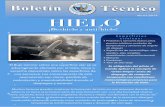 Hielo - Colegio de Pilotos Aviadores de México ( CPAM ) · Tipos de fluidos para el deshielo/anti-hielo. La técnica más usada para remover el hielo de las superﬁcies criticas
