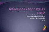 Dra. María Paz Cubillos Becada de Pediatría 2011manuelosses.cl/BNN/ICN_MPC.pdf · Las infecciones en el R.N son causa importante de morbilidad, mortalidad y secuelas. Connatales: