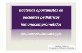 Catalina Culasso Hospital de Niños de Córdoba...Bacterias oportunistas en pacientes pediátricos inmunocomprometidos - CATALINA CULASSO Author GrupoBinomio Created Date 11/7/2011