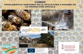 PROBLEMÁTICA SANITARIA EN LA APICULTURA E HIGIENE EN …apiads.es/wp-content/uploads/2019/12/patologia-curs-2019.pdf · 1. Abeja pilladora con miel contaminada. 2. Intercambio de