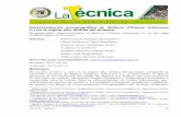 Caracterización eco-geográfica de Melloco (Ullucus tuberosus ) … · 2018-09-15 · El melloco es un cultivo domesticado en las montañas de Los Andes de Perú, Bolivia, Colombia,