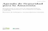 Octubre de 2013 Agenda de Seguridad para la Amazonia€¦ · El cambio climático multiplicará estas amenazas para la seguridad hídrica, energética, alimentaria y de la salud,