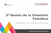 3ª Sesión de la Comisión Temática - Estado de Méxicoihaem.edomex.gob.mx/sites/ihaem.edomex.gob.mx/files/files/2019... · municipal el reglamento municipal, avance del 10% (!