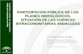 Presentación de PowerPoint - Transición Ecológica...Participación de la Agencia Andaluza del Agua Madrid, 23 Febrero 2011 ÁMBITO TERRITORIAL • Planificación de 3 demarcaciones