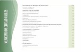 Generalidades del Municipio de Ciudad Valles Situación ... Vallles.pdf · Costo de Construcción 123 Servicios Bancarios 123 Principales Servicios en el Municipio 124 Servicios Hospitalarios