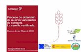 Proceso de obtención de nuevas variedades de cereales. La ... · Proceso de obtención de nuevas variedades de cereales 2016 - Cuenca . Año 1: CRUZAMIENTOS . MEJORA CLASICA CON