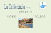 RÍO TAJO RÍO DE TOLEDO...queremos hacer un homenaje al Tajo y un recorrido por su historia, ligada a la historia de Toledo. ... • El ave adulto mide 12,5-14,0 cm de largo, pesa