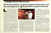 Situación y perspectivas en la mejora genética porcina · • Líneas especializadas de Large White en Holanda. • Duroc y Hampshire en EE.UU. y ... Los esquemas más efi-cientes