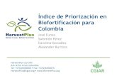 Índice de Priorización en Biofortificación para Colombialac.harvestplus.org/wp-content/uploads/2015/09/BPI... · •Se uso información del anuario estadístico agropecuario estadístico
