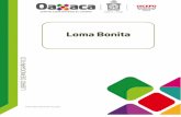 Dirección General de Población de Oaxaca - Fuente: INEGI. … Bonita.pdf · 2019-05-06 · GLOSARIO DE TÉRMINOS Analfabeta: Población de 15 y más años que no sabe leer ni escribir