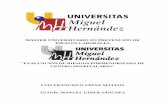 EVALUACIÓN DE RIESGOS PORMENORIZADA DE CENTRO …dspace.umh.es/bitstream/11000/2194/1/TFM Sáenz... · master universitario en prevenciÓn de riesgos laborales . curso acadÉmico