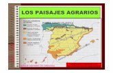 LOS PAISAJES AGRARIOS · Localización Relieve Clima Población Poblamiento Archipiélago canario Relieve volcánico y accidentado Subtropical cálido Rural en retroceso frente alturismo
