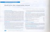 Síndrome del respirador bucalrepebis.upch.edu.pe/articulos/reporl/v28n2/a5.pdf · 2011-12-23 · 1. De la pirámide nasal: malformaciones, insuficien-cia alar y traumatismos. 2.