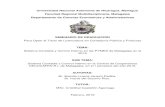 Universidad Nacional Autónoma de Nicaragua, Managua ...repositorio.unan.edu.ni/2250/1/5468.pdf · Evaluar el Sistema Contable y Control Interno en la Cooperativa CECOCAFEN R.L en