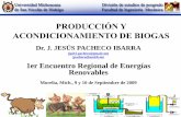 PRODUCCIÓN Y ACONDICIONAMIENTO DE BIOGASapercc.org.mx/anesmich_old/anes2009/miercoles9sept2009/9PROD… · Un metro cúbico de biogás totalmente combustionado es suficiente para: