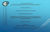 Presentación de PowerPoint Avila S.pdf2007 se ha pretendido producir biodiesel utilizando como materia prima el piñón de la jatropha para ... de producción de jatropha en 2007