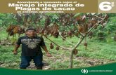 Aprendiendo e innovando sobre el G Manejo Integrado de ... · que forman la Caja de Herramientas para Cacao: Aprendiendo e Innovando sobre el Manejo Sostenible del Cultivo de Cacao
