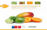 Catastro Frutícola - Región de Tarapacá - Julio 2019 · al año 2019 del Catastro Frutícola de la región de Tarapacá, realizado por el Centro de Información de Recursos Naturales,