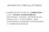 APARATO CIRCULATORIO Circulatorio.pdf · aparato circulatorio • compuesto por el corazÓn y los vasos sanguÍneos: arterias, venas, arteriolas, vÉnulas y capilares, que contienen