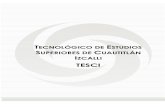 TECNOLÓGICO DE ESTUDIOS SUPERIORES DE CUAUTITLÁN …transparenciafiscal.edomex.gob.mx/sites/transparencia... · 2017-02-28 · T E S C I 5 MARCO JURÍDICO NATURALEZA JURÍDICA El