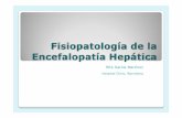 Fisiopatología de la Encefalopatía Hepática · Cirrosis hepática (situación mas frecuente) Insuficiencia hepática aguda Shunt portosistémicos Ferenci P. Hepatology 2002 0 I