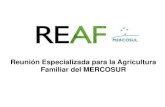 Reunión Especializada para la Agricultura Familiar …...Objetivos de la REAF • Objetivos originales de la REAF como órgano asesor del MERCOSUR: a. fortalecer las políticas públicas