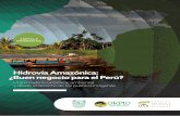 htp:// Hidrovía Amazónica: ¿Buen ...dar.org.pe/archivos/Cartilla_hidrovia.pdf · Leyenda Acrónimos Hitos de los Pueblos Indígenas ... La idea de realizar una Hidrovía en la