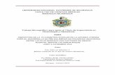 UNIVERSIDAD NACIONAL AUTÓNOMA DE NICARAGUA …repositorio.unan.edu.ni/6158/1/64086.pdf · Sub-Especialista en Medicina Materno Fetal Mangua - Febrero 2015 ... iniciales para el desarrollo