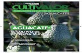 AGUACATE · de Nutrición en Aguacate celebrado en Uruapan del 8 al 10 de junio, el Congreso Latinoamericano del Aguacate del 7 al septiembre en Cd. Guzmán, y el Congreso Nacional