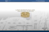 CONTRALORÍA GENERAL - Universidad de Guanajuato · a cabo la Planilla de Control Interno Básica, documento de consulta, cuyo propósito es establecer algunos elementos básicos