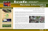 Instituto del Café de Costa Rica Revista Informativa · Revista Informativa 2 En esta edición Por otra parte, la utilización de un adecuado manejo de la nutrición de ... en extremo