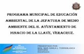 Gobierno del Estado de Veracruz - PROGRAMA …repositorio.veracruz.gob.mx/.../PMEA-Ignacio-de-la-Llave.pdfimportancia de conformación de la jefatura del medio ambiente Establecer