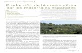 Producción de biomasa aérea por los matorrales …de biomasa en materia seca, y tienen un crecimien-to anual medio de 1,7 t/ha.año. La información aportada contribuye al conocimien-to
