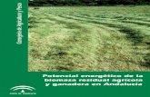 Potencial energético de la biomasa residual agrícola y ... · Potencial energético de la biomasa residual agrícola y ganadera en Andalucía 9 1 Este Plan se encuadra a su vez