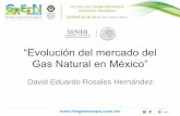 “Evolución del mercado del Gas Natural en México”ejkrause.com.mx/camp-green16/bitacora/powermex/... · Generadores Eléctricos Industrial Residencial Comercial Demanda Particulares