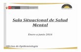 Sala Situacional de Salud Mental · Sala Situacional de Salud Mental Enero a junio 2016 Oficina de Epidemiología. Consulta Externa Emergencia ... Medicina Interna 26 228 10 190 37