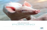 GAMA PORCINO - covivet.com · y estafilococias. TIEMPO DE ESPERA Carne: 10 días. CITRAMOX 100 mg/g Polvo para administración en agua de bebida en bovino, porcino y avicultura Amoxicilina